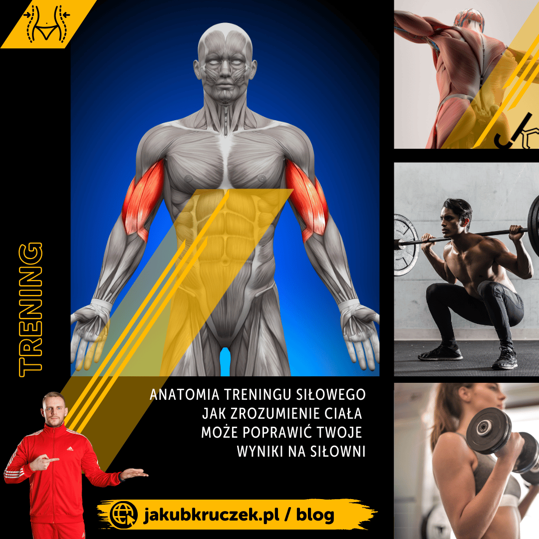 Anatomia treningu siłowego: Jak zrozumienie ciała może poprawić Twoje wyniki na siłowni
